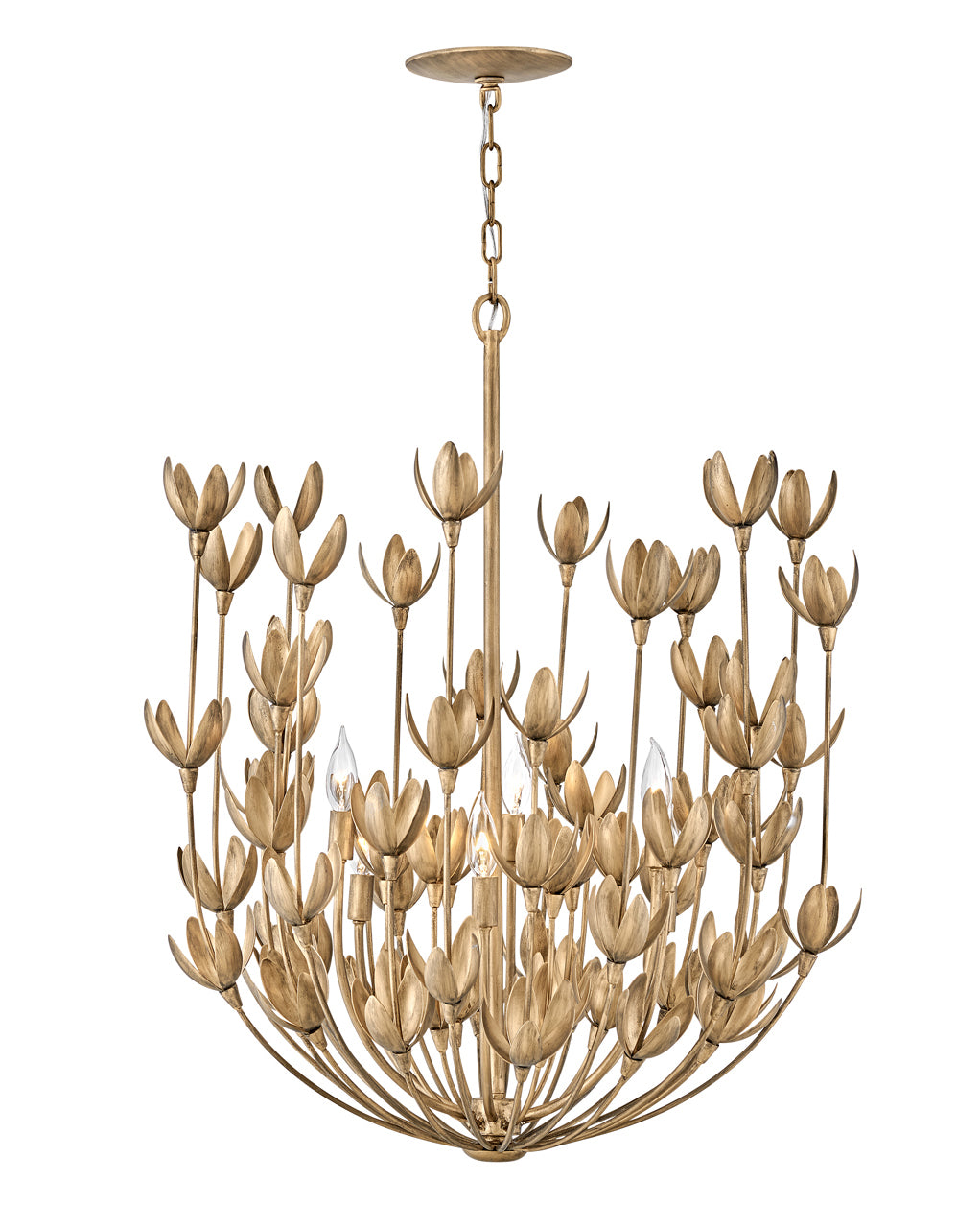 Interior Flora - HINKLEY - 30016BNG