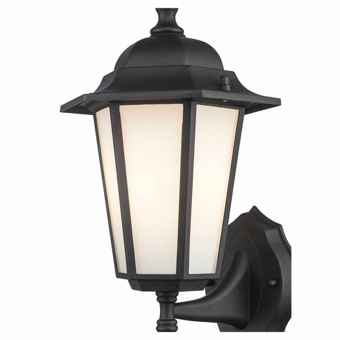 Alexander Outdoor 1-Light Frosted Glass and Metal Lantern with Scalloped Edge Wall Mount Plate - Black / Frosted