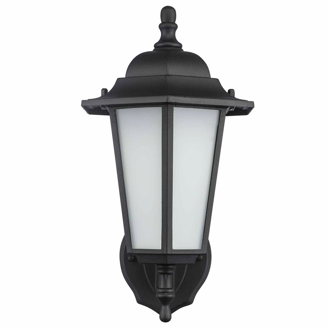 Alexander Outdoor 1-Light Frosted Glass and Metal Lantern with Scalloped Edge Wall Mount Plate - Black / Frosted