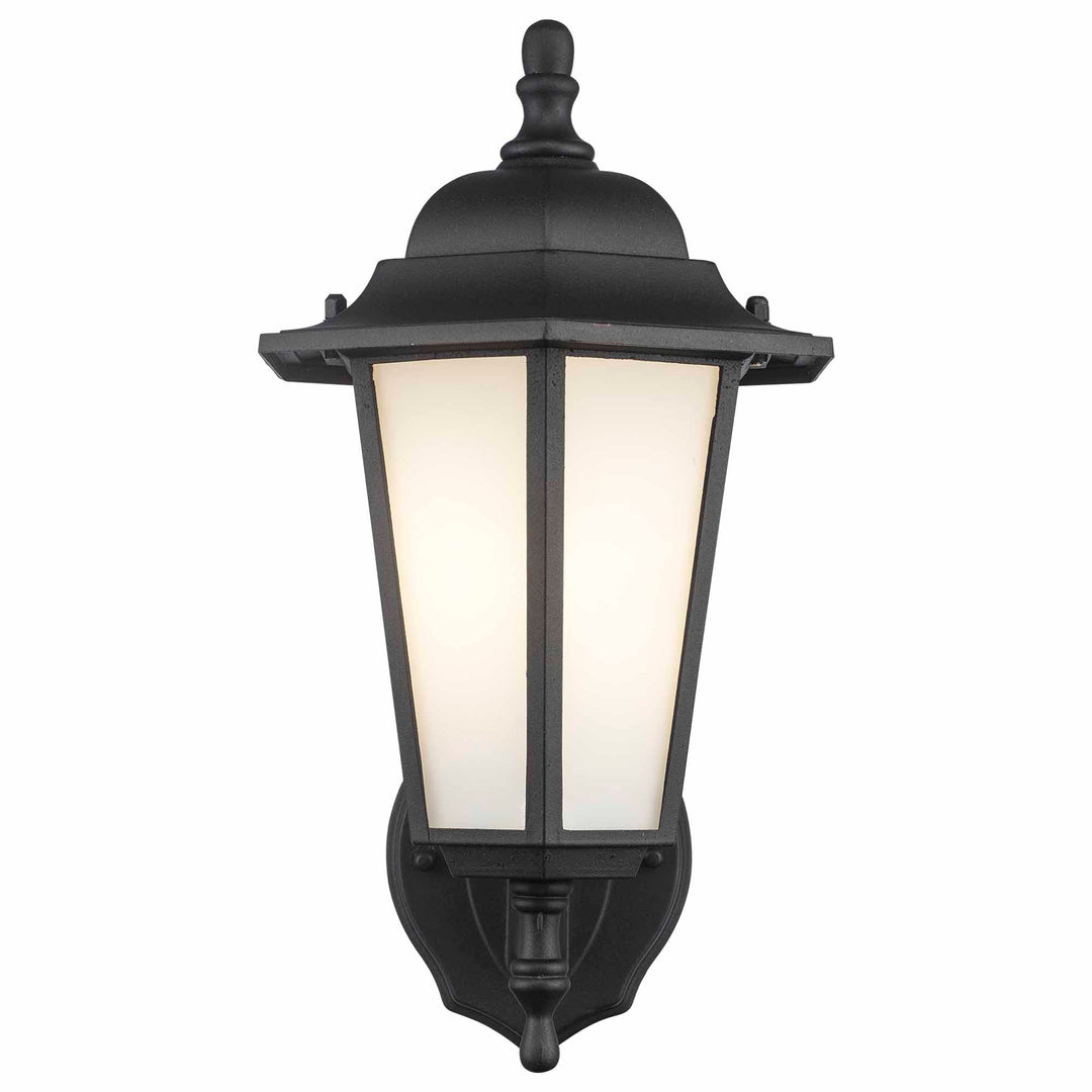 Alexander Outdoor 1-Light Frosted Glass and Metal Lantern with Scalloped Edge Wall Mount Plate - Black / Frosted