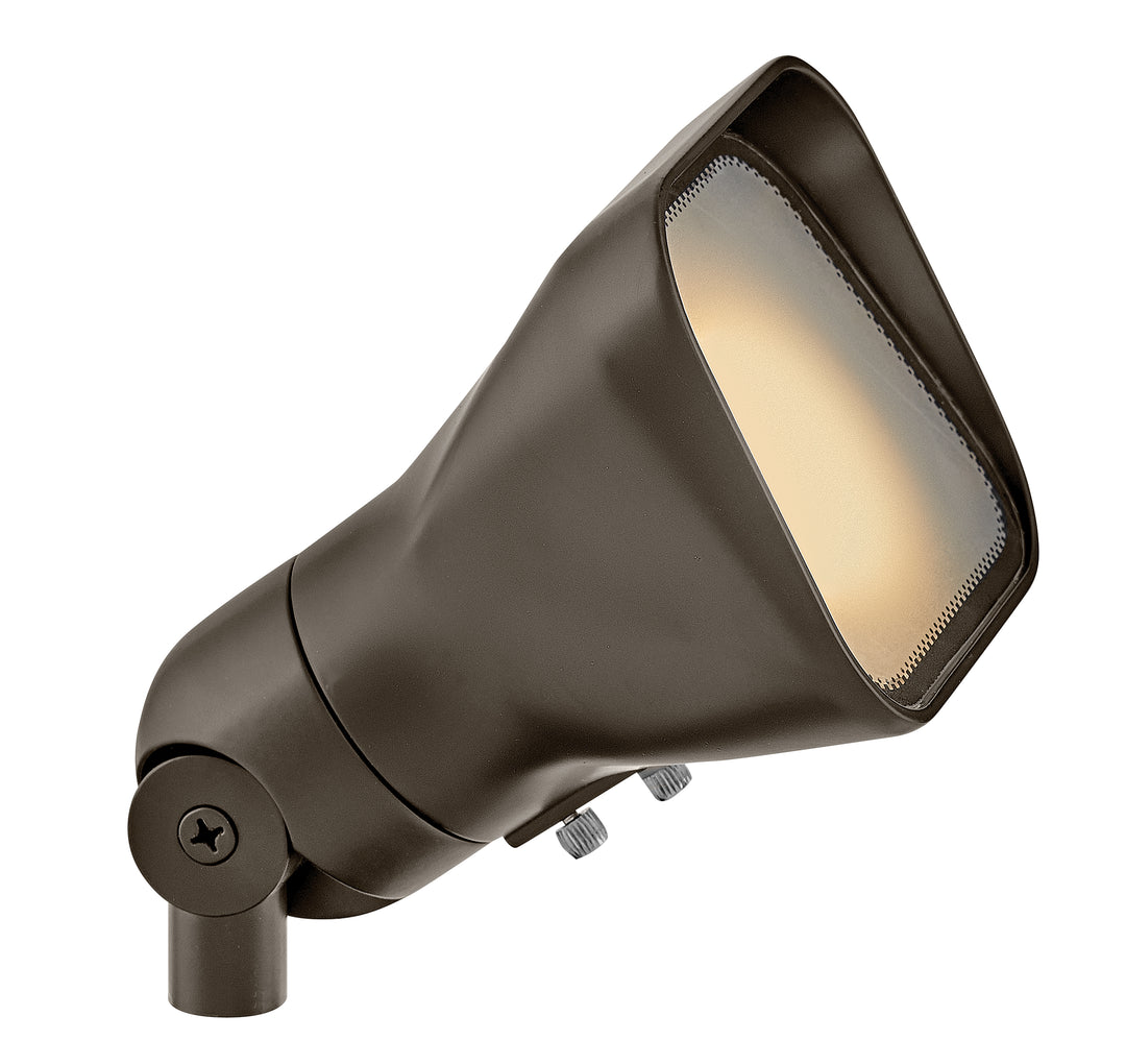 Landscape Accent Flood Light - HINKLEY - 55300BZ