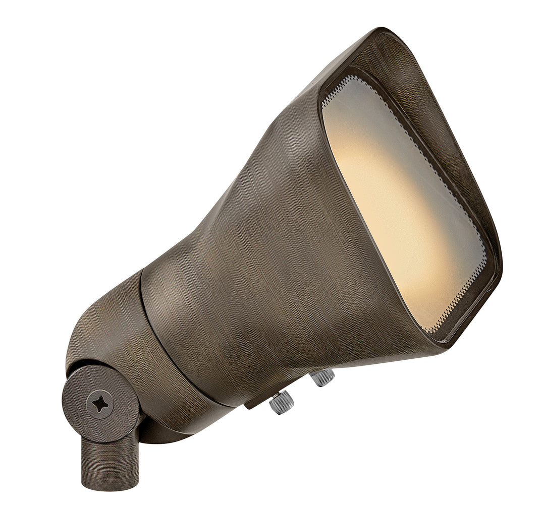 Landscape Hardy Island Accent Flood Light - HINKLEY - 55300MZ