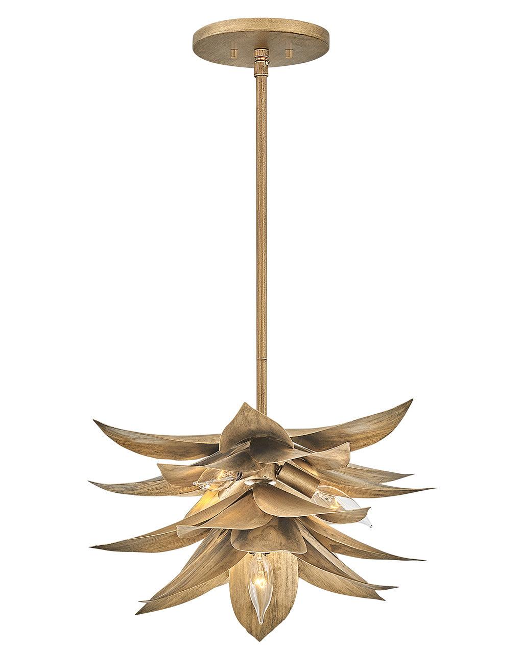 Interior Agave - FREDRICK RAMOND - FR30811BNG