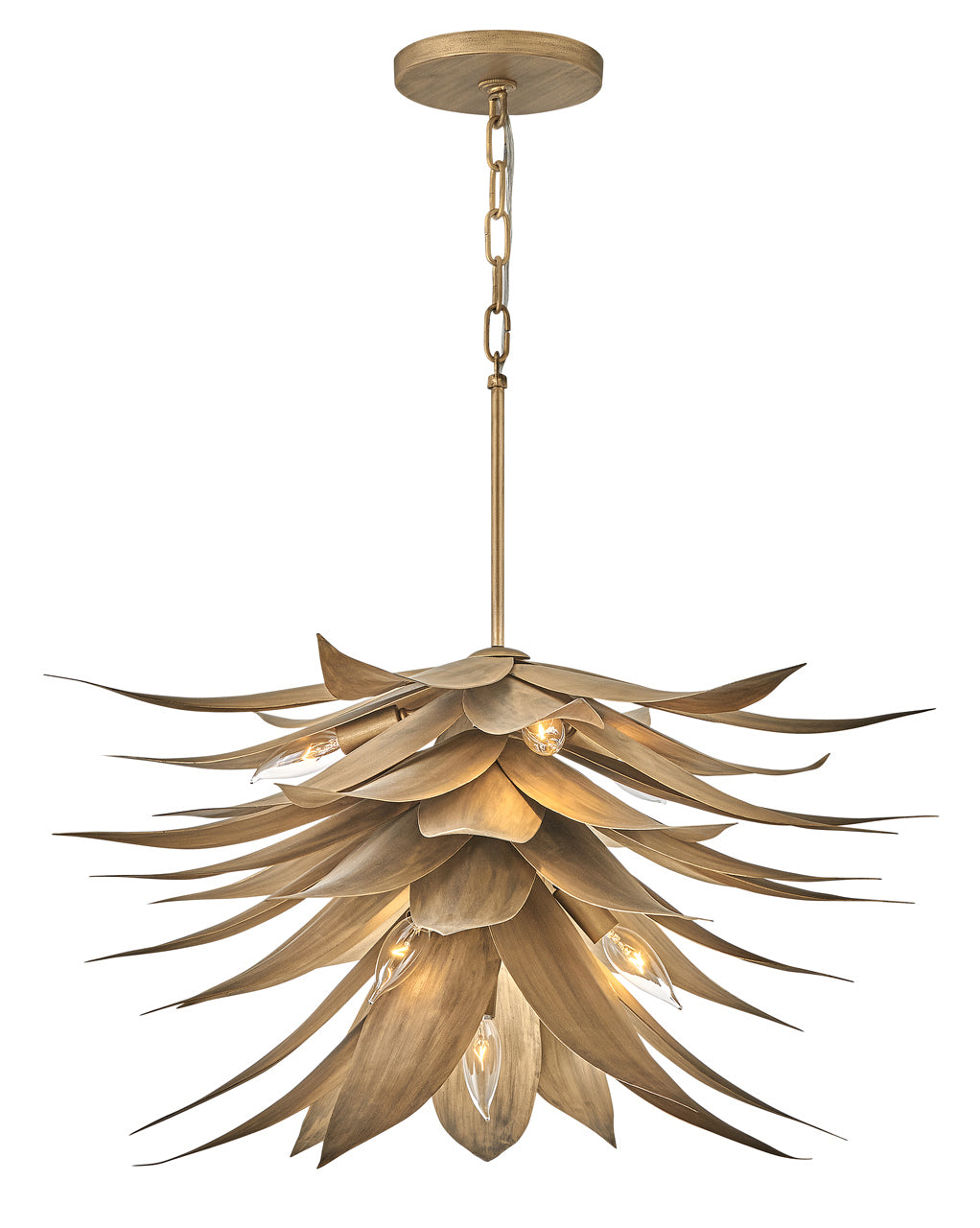 Interior Agave - FREDRICK RAMOND - FR30815BNG