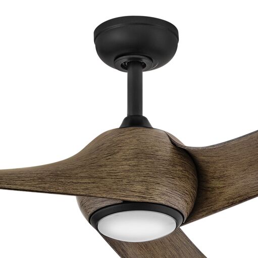 Trans Globe - Indoor Ceiling Fans