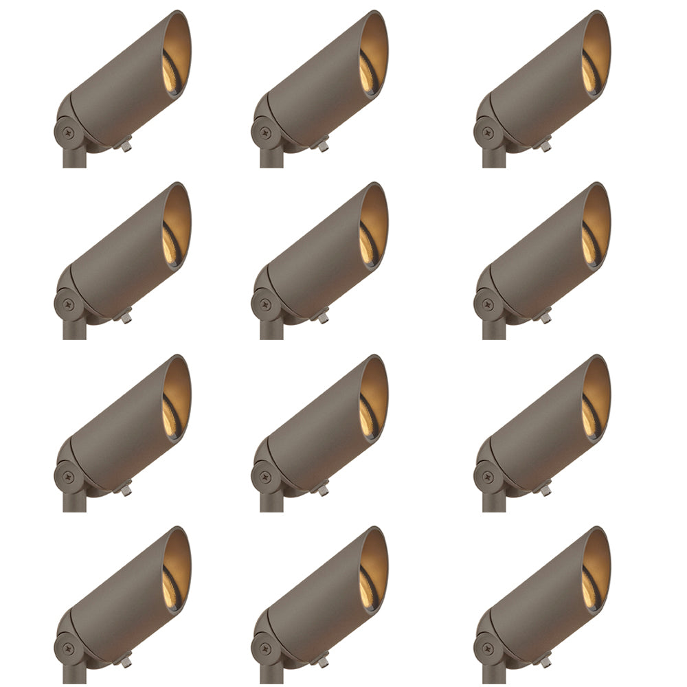 Landscape Accent Spot Light - HINKLEY - 1536TXB-12