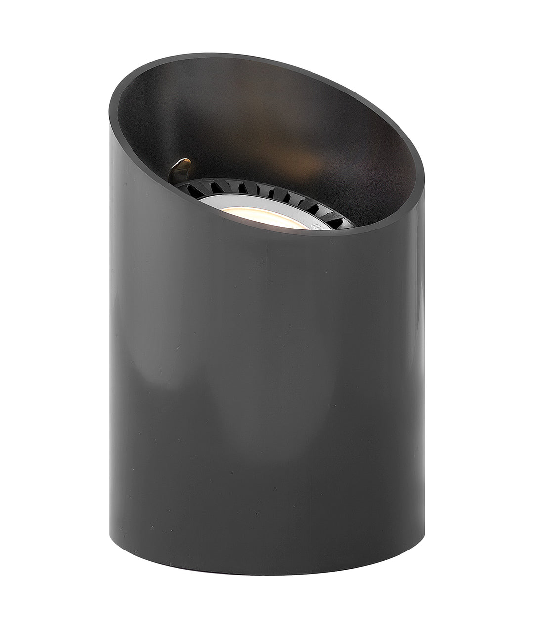 Landscape Well Light - HINKLEY - 1598BK
