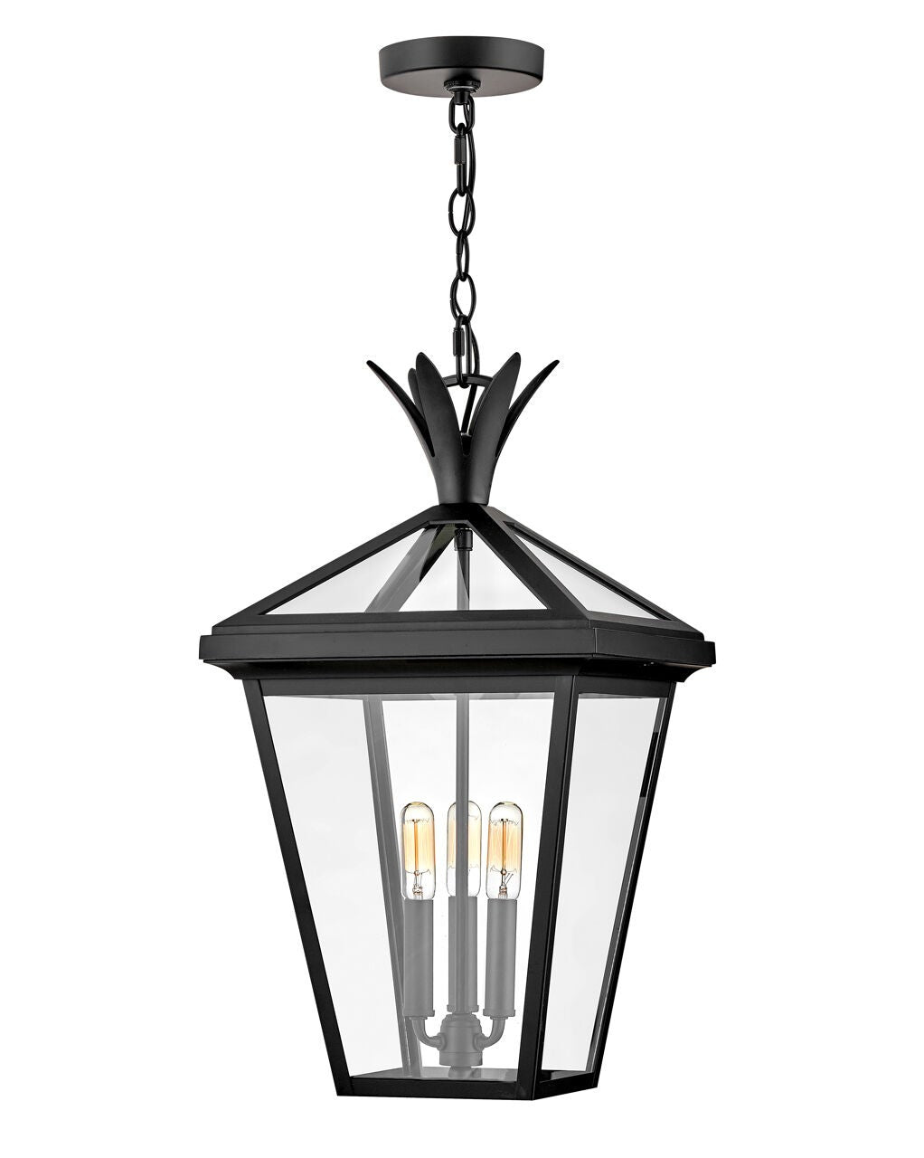 Palma 26092BK - Large Hanging Lantern - Black