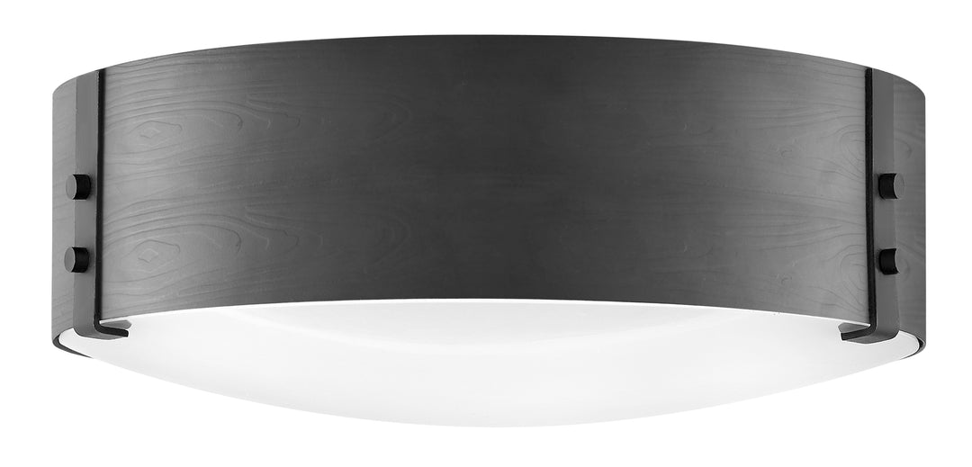 Outdoor Sawyer - HINKLEY - 29203BK