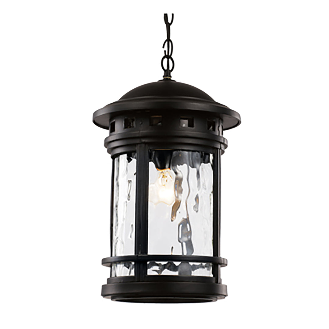 Boardwalk Collection 1-Light, Outdoor Hanging Lantern Pendant with Water Glass - Black