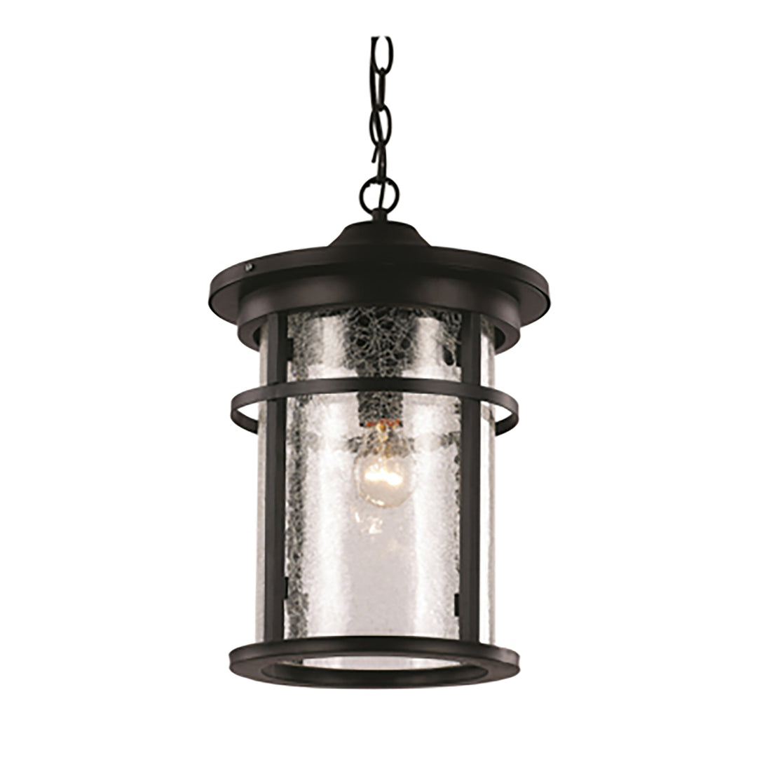 Avalon Crackled Glass Outdoor Hanging Pendant Light with Open Base - Black