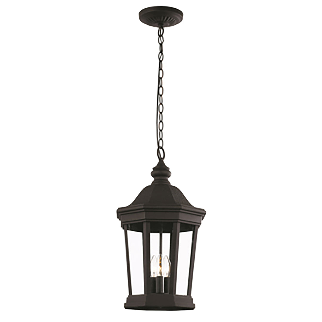 Westfield Hexagon Shaped, Clear Glass Outdoor Pendant Light with Chain - Black