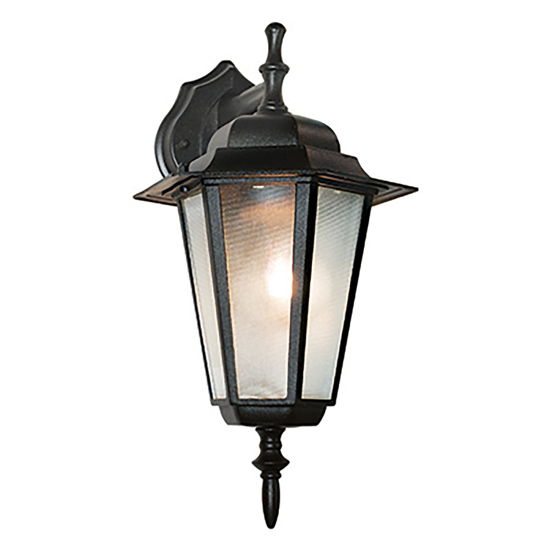 Alexander Outdoor 1-Light Frosted Glass and Metal Coach Wall Lantern - Black