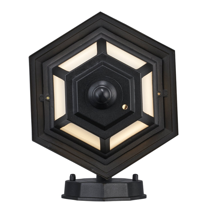 Alexander Outdoor 1-Light Frosted Glass and Metal Coach Wall Lantern - Black / Frosted