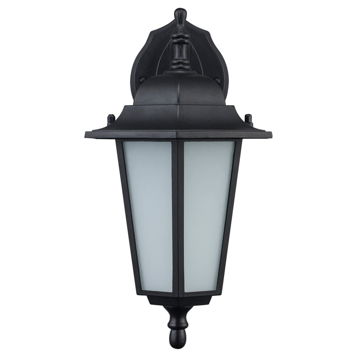 Alexander Outdoor 1-Light Frosted Glass and Metal Coach Wall Lantern - Black / Frosted