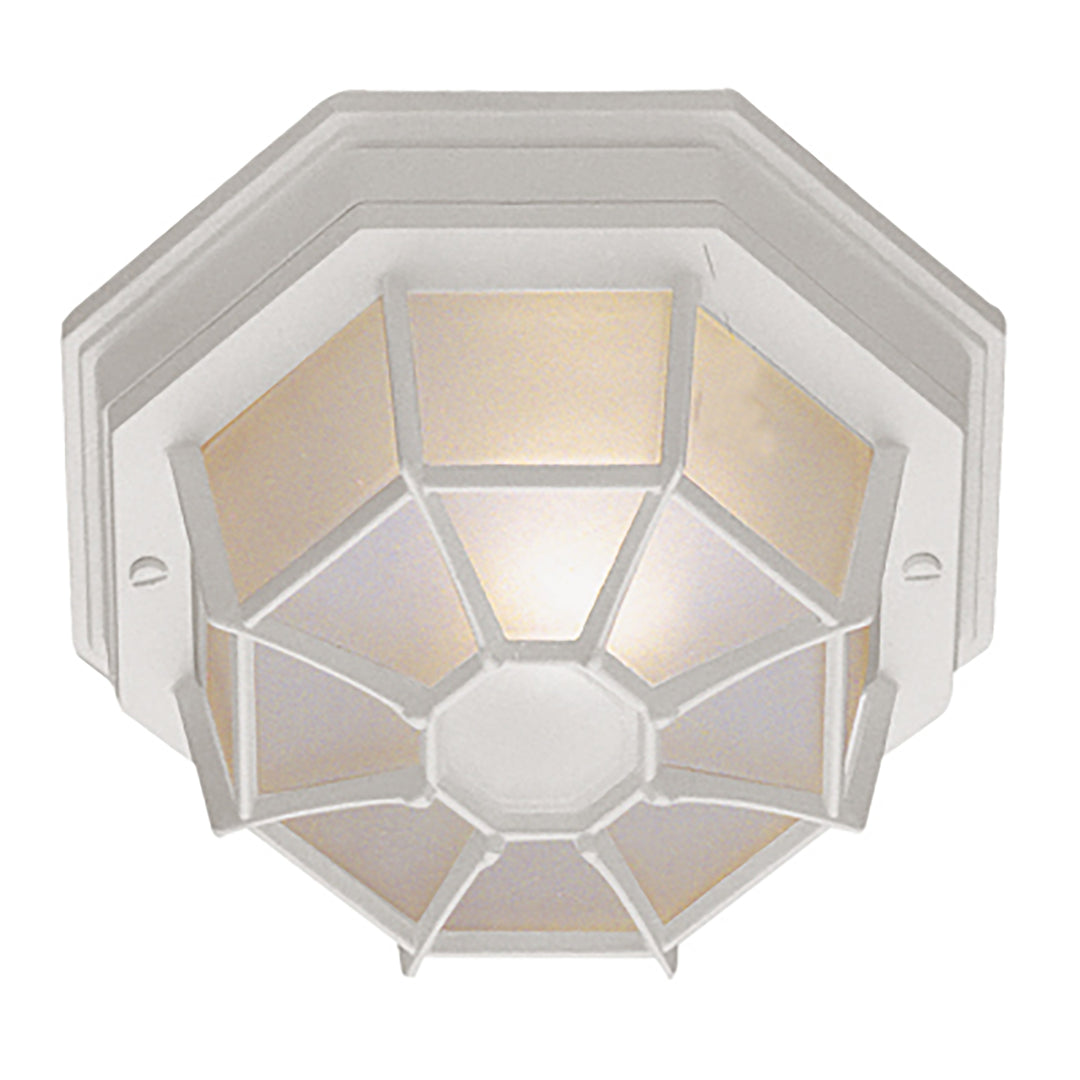 Benkert 1-Light, Weblike Design, Enclosed Flush Mount Ceiling Lantern Light - White