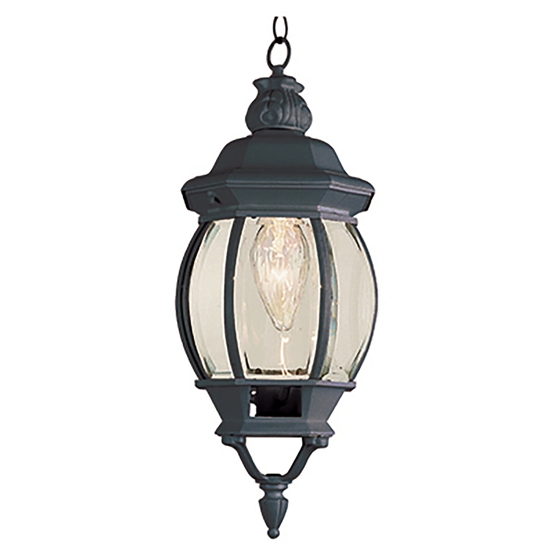 Parsons 1-Light Traditional French-inspired Outdoor Hanging Lantern Pendant with Chain - Black