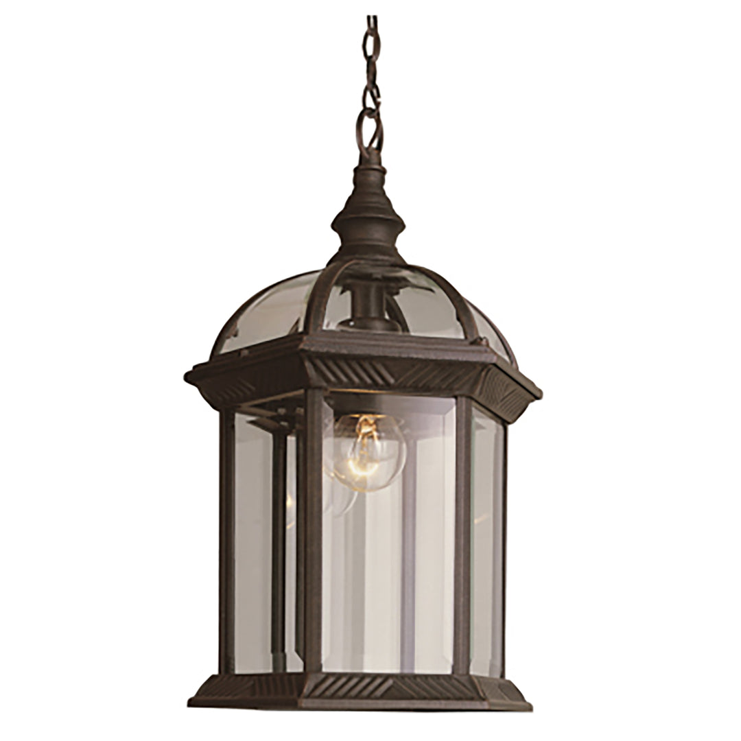 ntworth 1-Light Atrium Style Outdoor Hanging Pendant- Rust