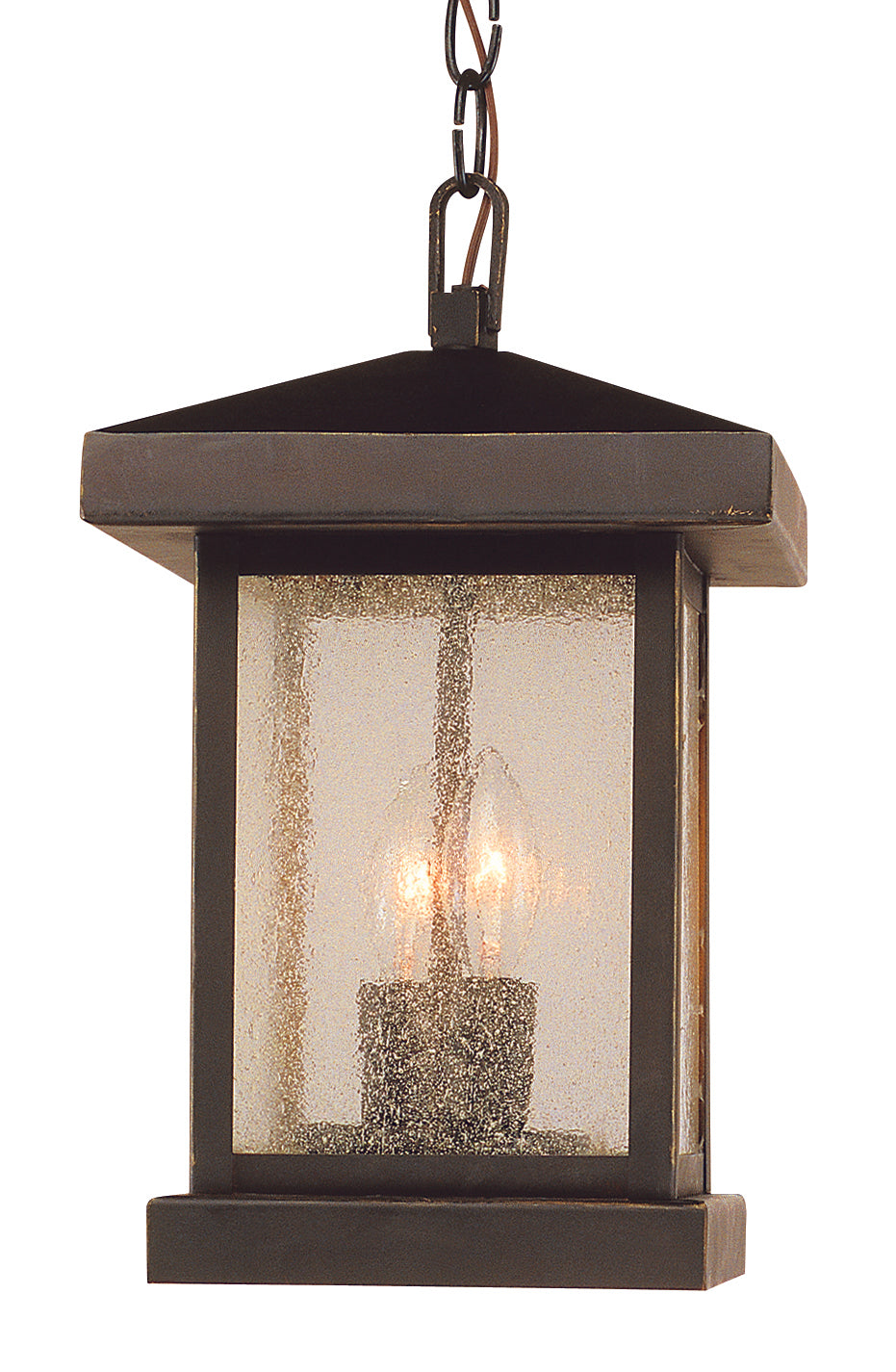 Santa Cruz 13" Hanging Lantern - Weathered Bronze