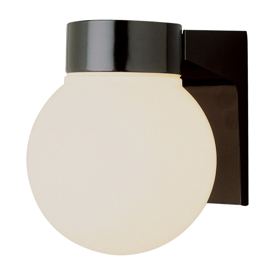 Pershing 1-Light Globe Shade Outdoor Wall Light - Black