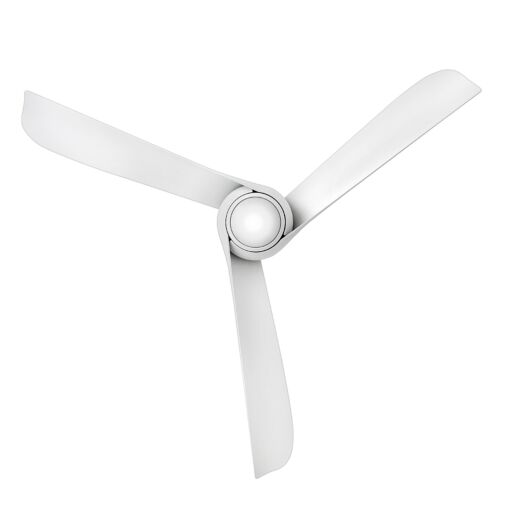 Trans Globe - Indoor Ceiling Fans