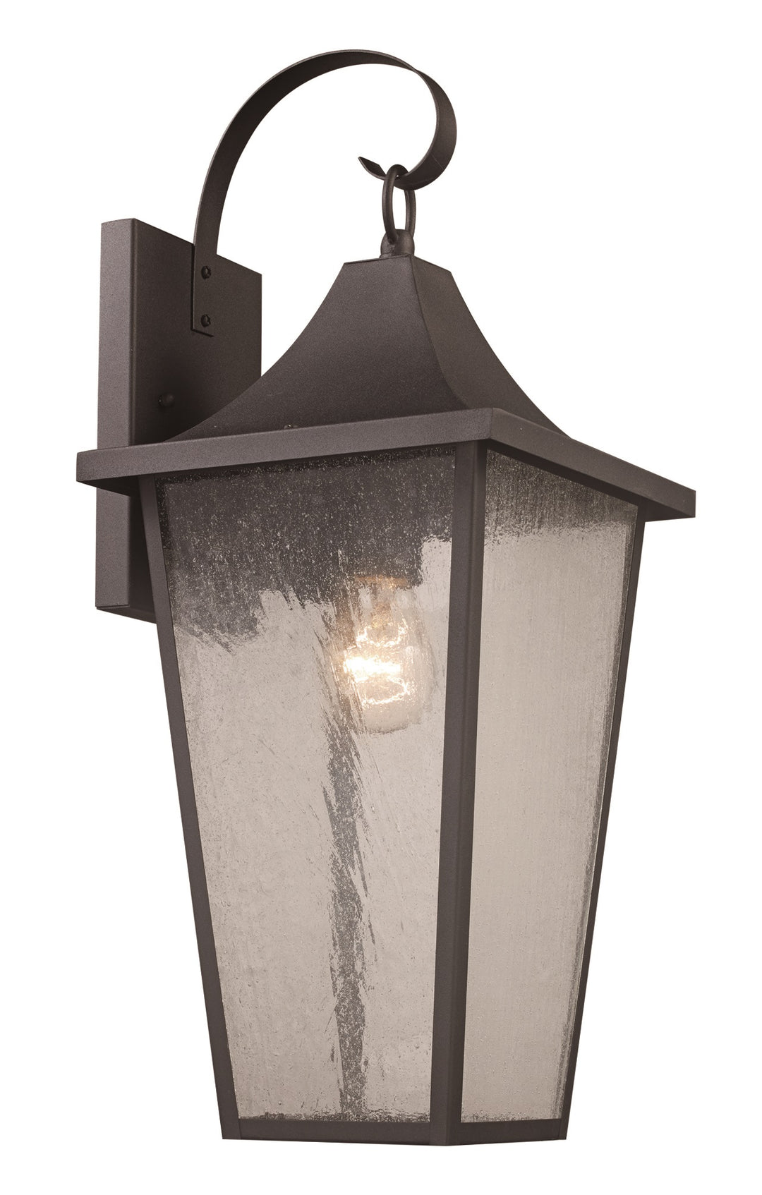 Rasmussen 1-Light Seeded Glass Armed Wall Lantern- Black