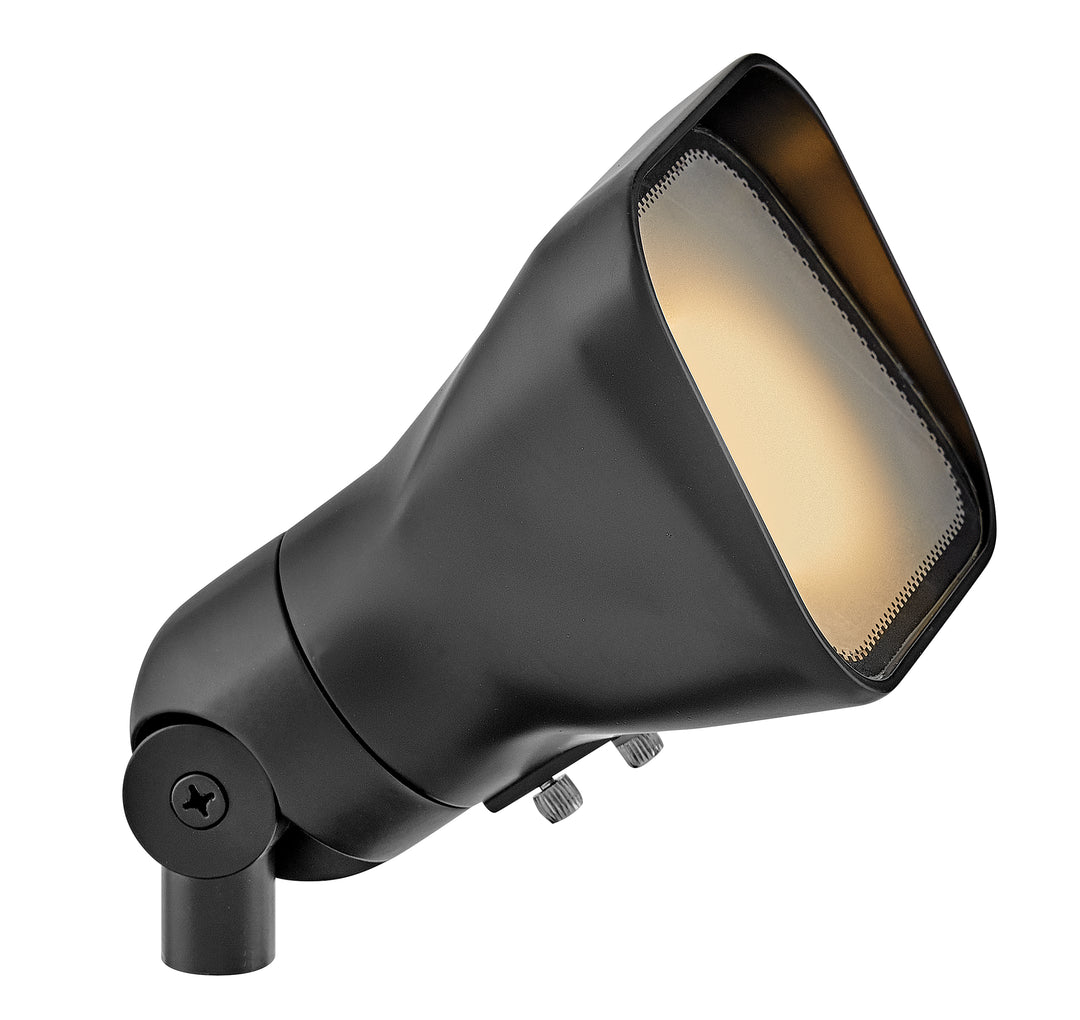 Landscape Accent Flood Light - HINKLEY - 55300SK