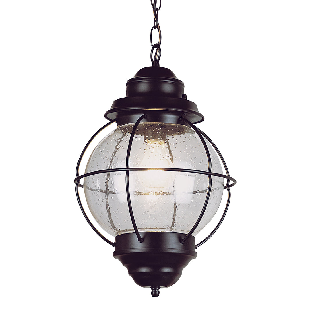 Catalina 19" Hanging Lantern Pendant Light - Black