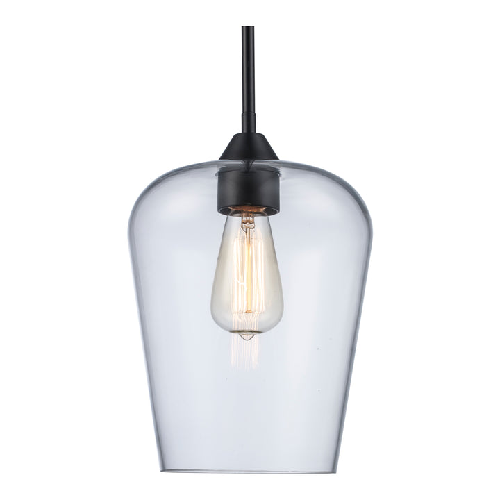 1-Light Pendant with Clear Tulip Glass Jar Shade - Black