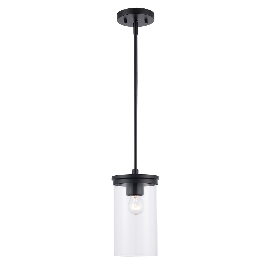 Carter 1 - Light Modern Pendant with Clear Glass - Black | 72040 BK
