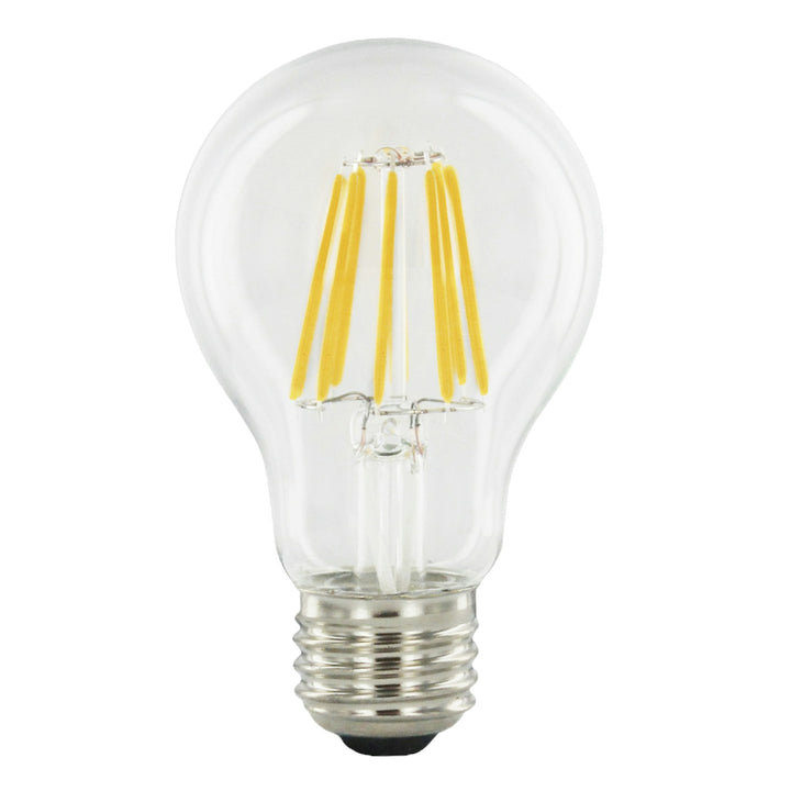 Filament A19 Bulb Low Voltage, 12V, 30K