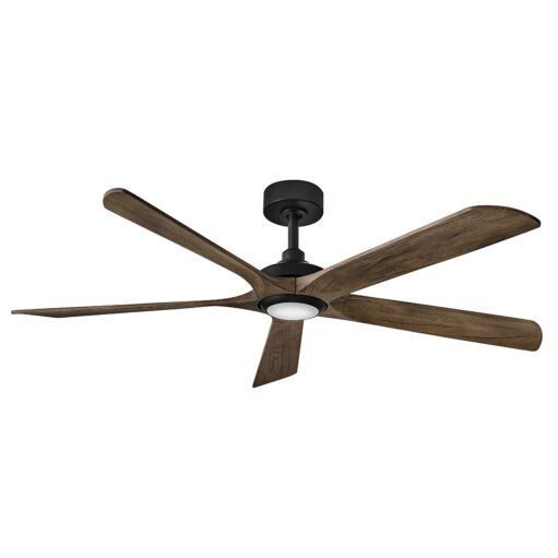 Trans Globe - Indoor Ceiling Fans