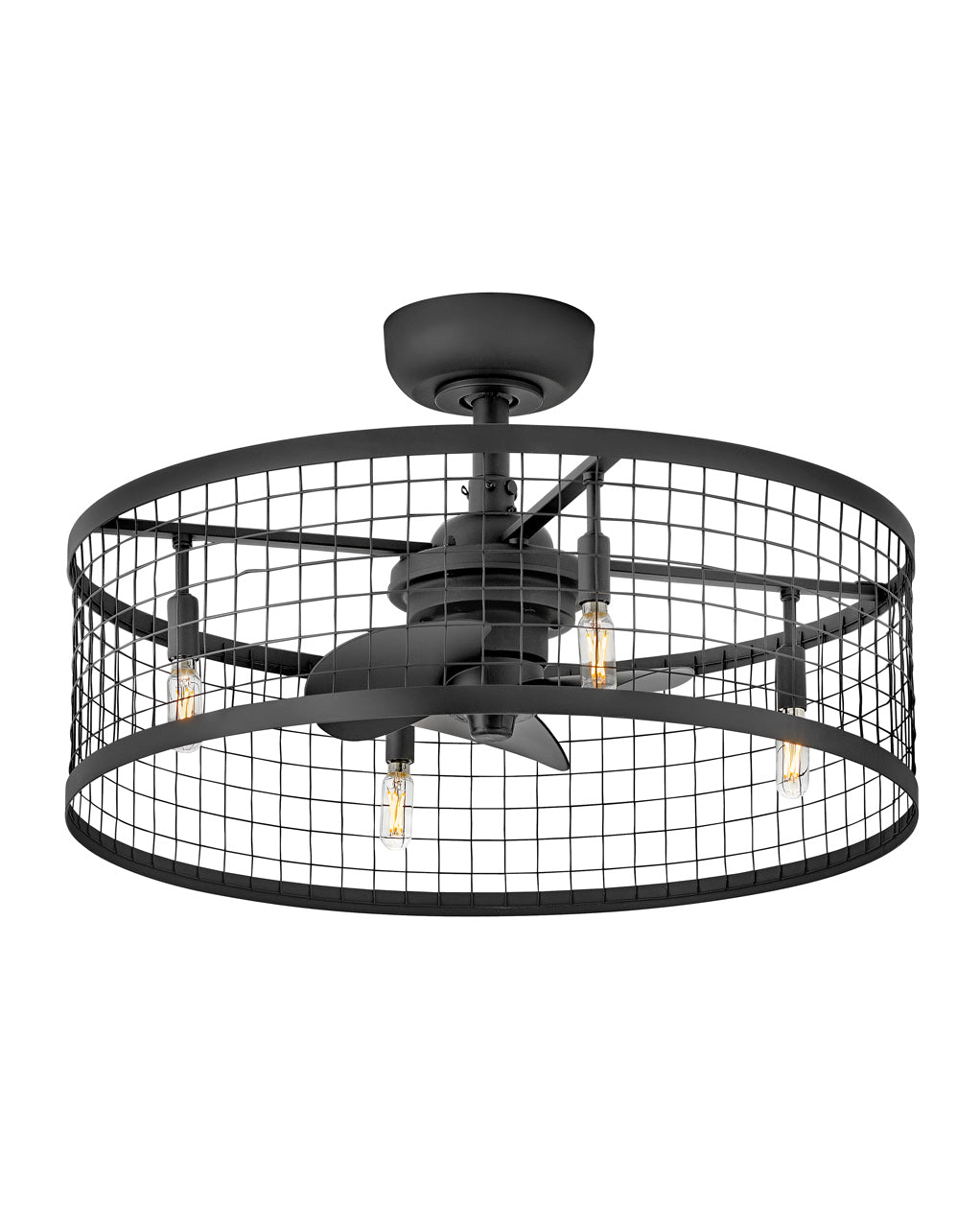 Finnigan 24" LED Fandelier - HINKLEY - HF904724