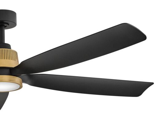 Bodin 64" LED Smart Fan  906564FHB-LDD - Bronze