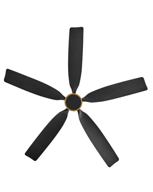 Bodin 64" LED Smart Fan  906564FHB-LDD - Bronze