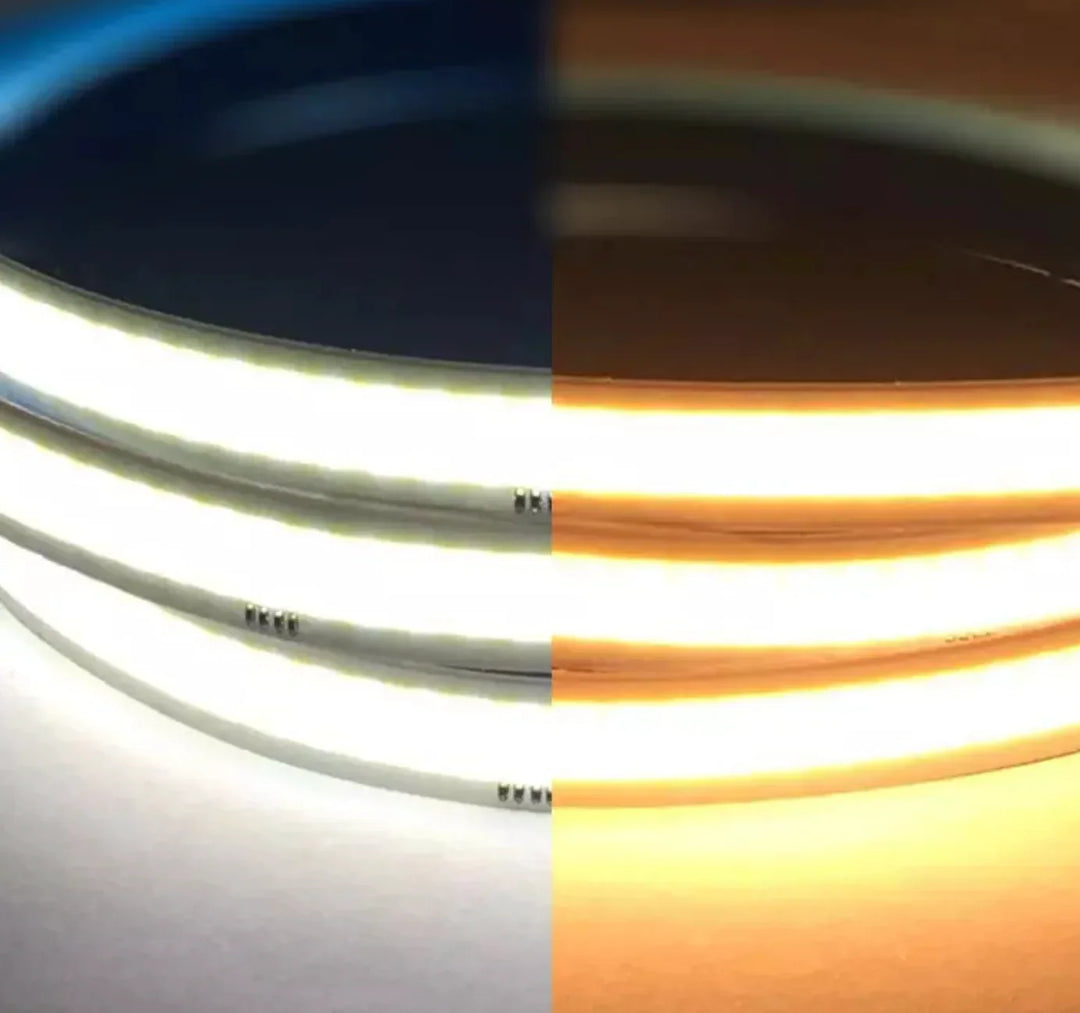 Jinno Lighting - LED Tape Light, CCT, 4W, 24V, 16.5 ft