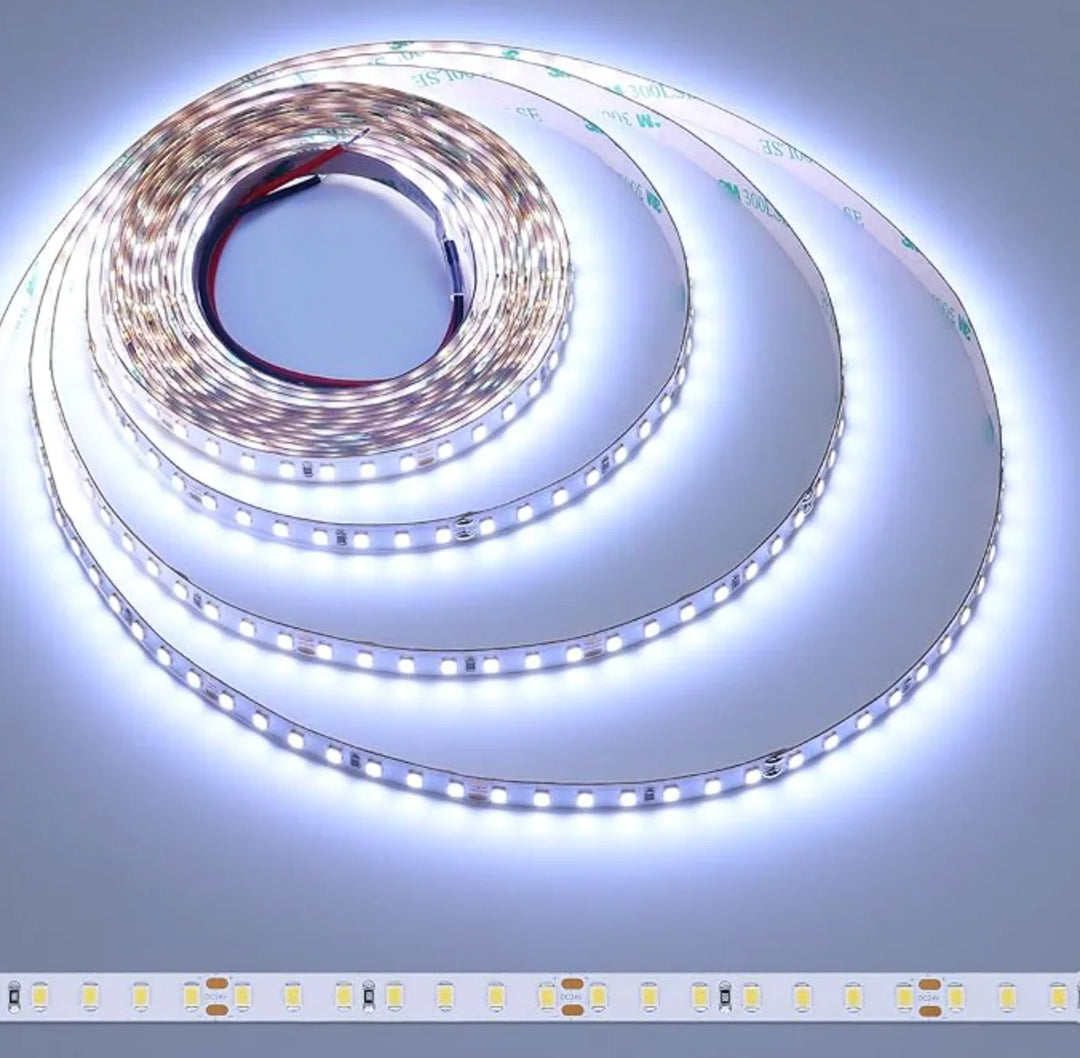 Jinno Lighting - SMD LED Tape Light, RGBCW, 4.4W, 24V, 16 ft