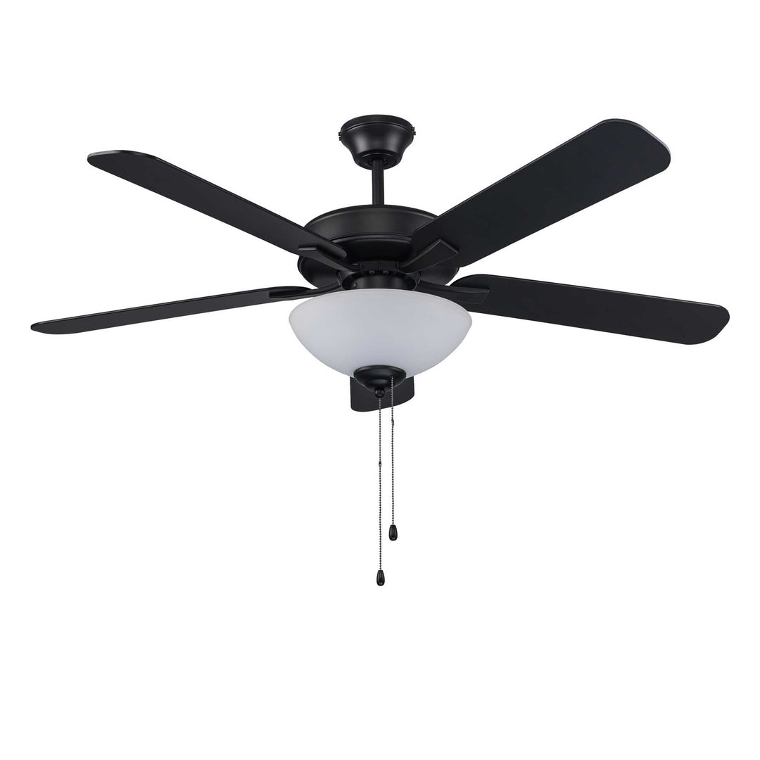 Vieux 2-Light, 5-Blade Transitional Ceiling Fan- Black