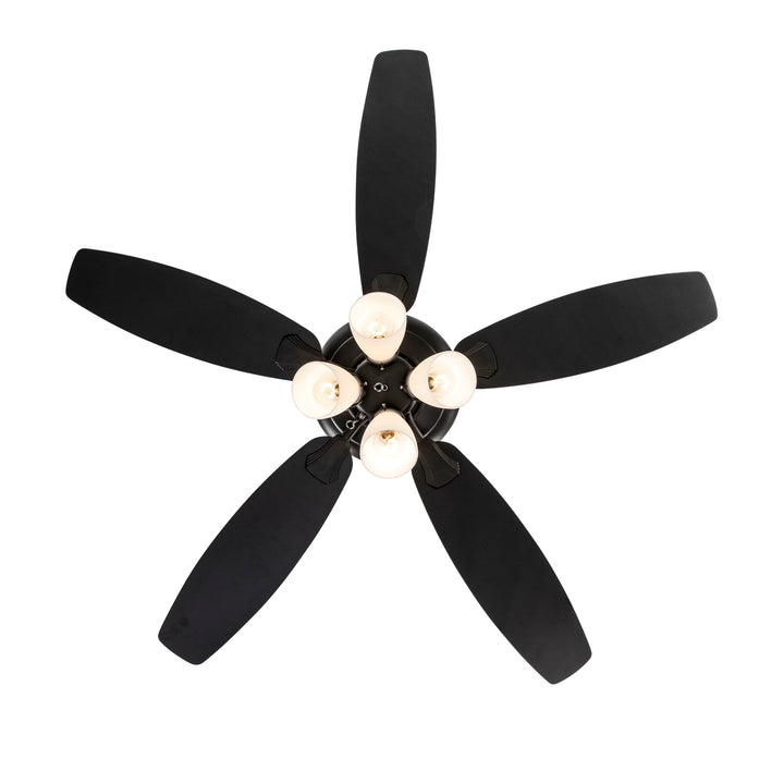 Vieux 2-Light, 5-Blade Transitional Ceiling Fan- Black