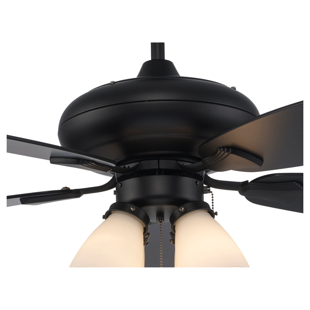 Vieux 2-Light, 5-Blade Transitional Ceiling Fan- Black