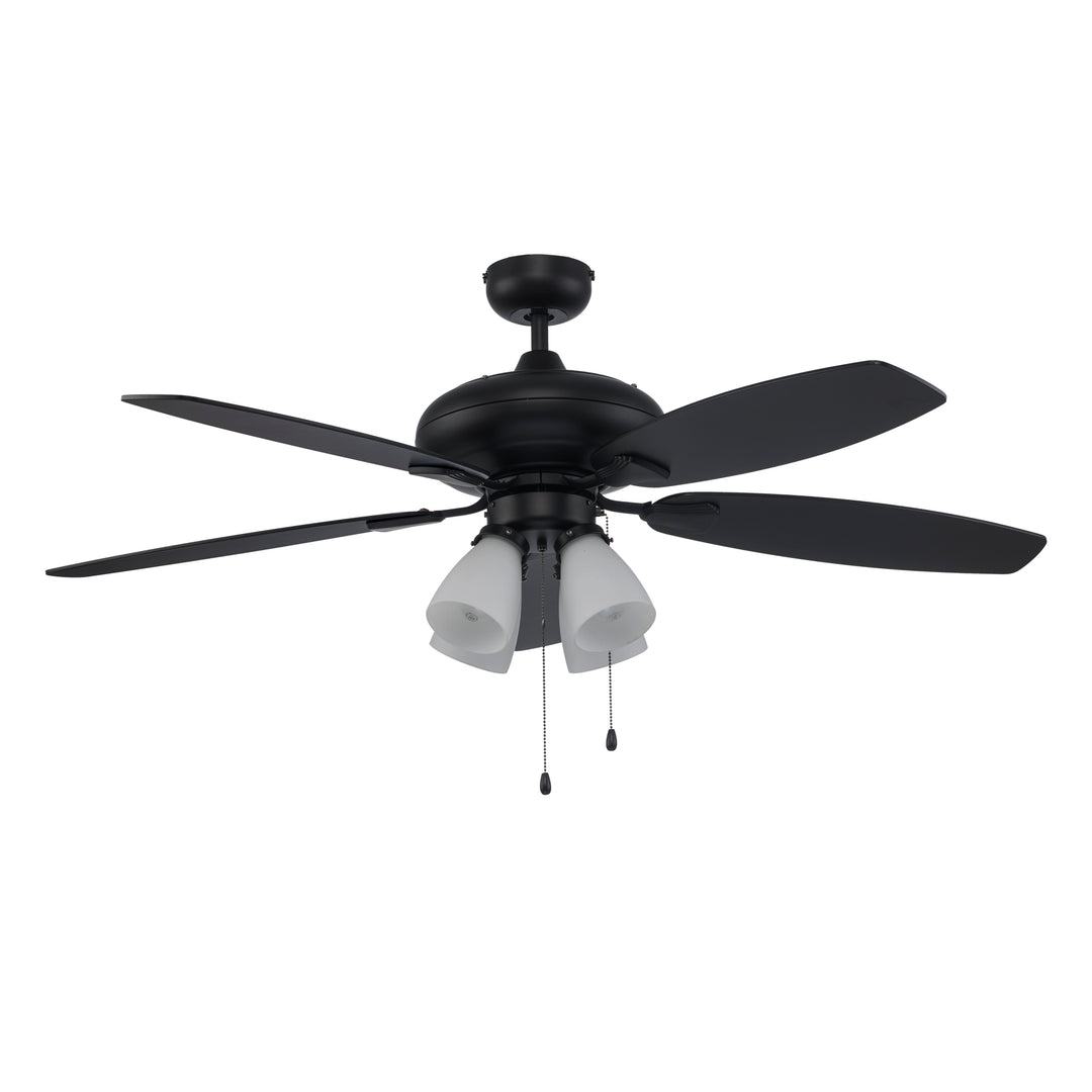 Vieux 2-Light, 5-Blade Transitional Ceiling Fan- Black