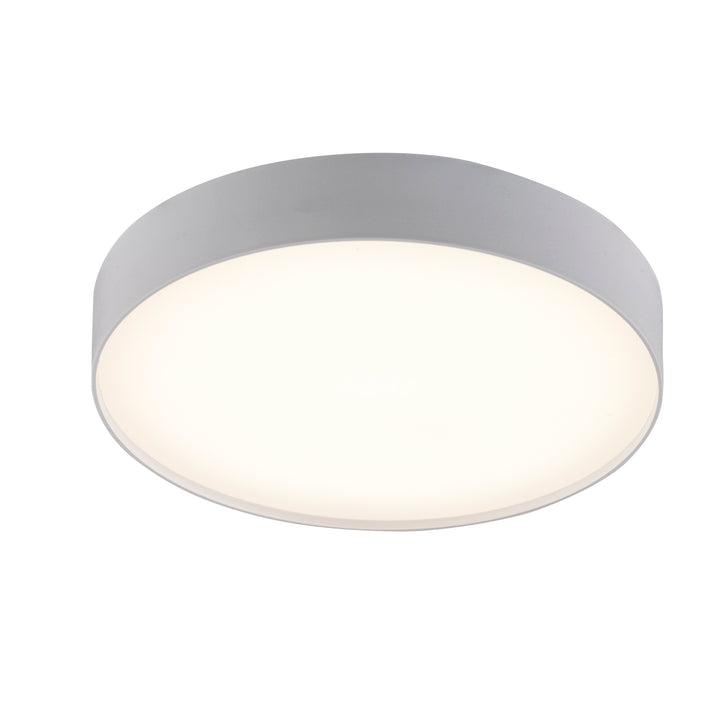 Xander 1-Light Flat Flush Mount Disc - White