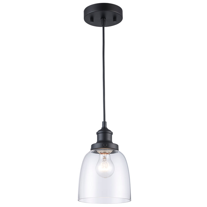 Jenny Glass Shade Single Edison Bulb - Black