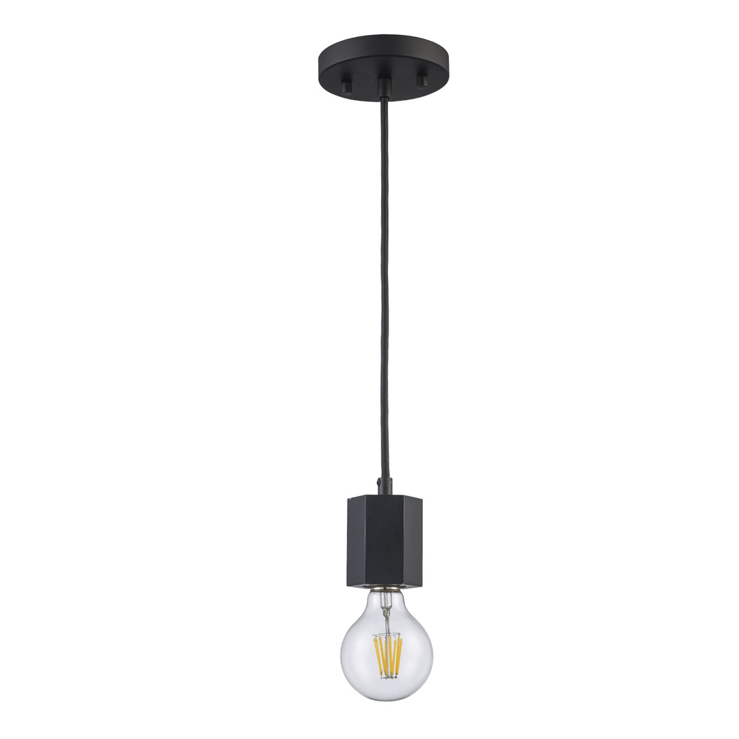 Placerville Collection 1-Light Industrial Bulb-style Hexagon - Black