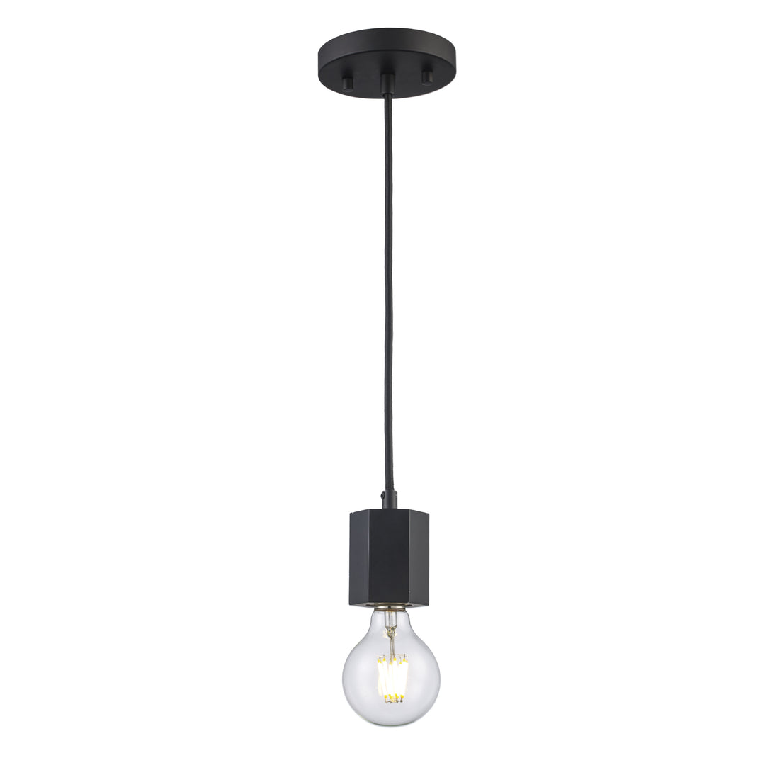 Placerville Collection 1-Light Industrial Bulb-style Hexagon - Black