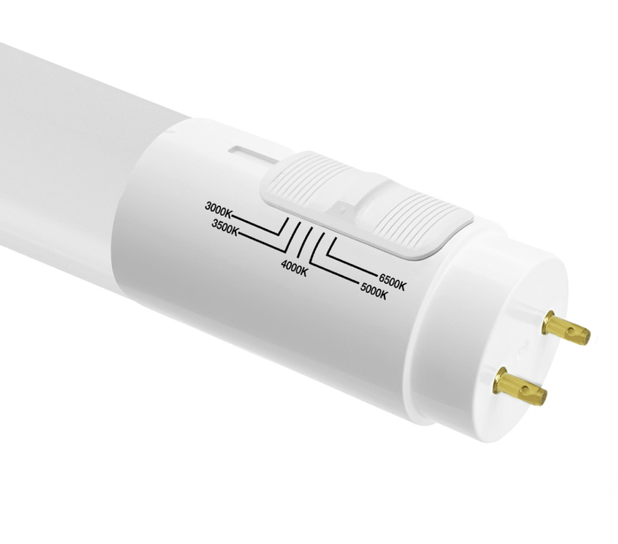 Envision LED 2' T8 Triple Fit Tubes