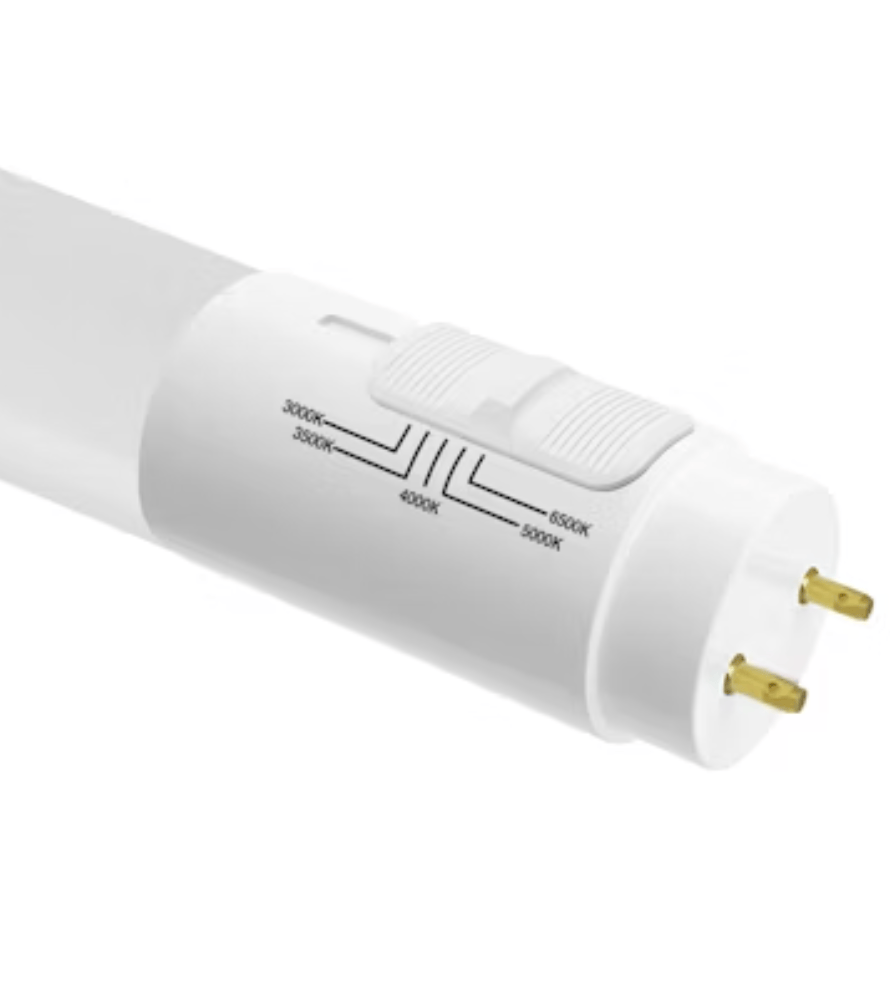 Envision LED 3' T8 Triple Fit Tubes