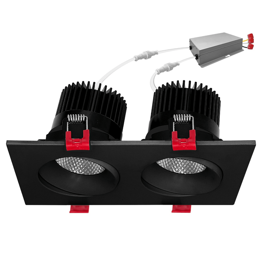 Envision LED 4" Multiple: Double Head 5-CCT Selectable 30W - Black