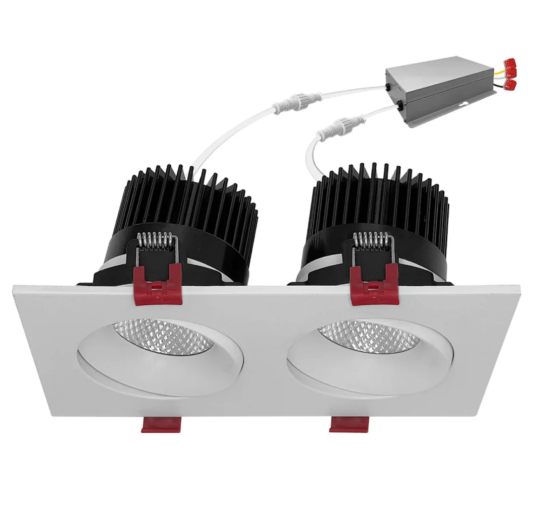 Envision LED 4" Multiple: Double Head 5-CCT Selectable 30W - White