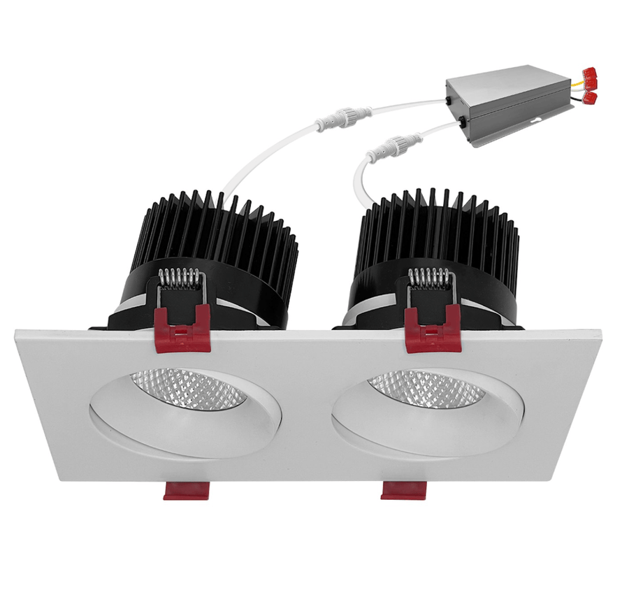 Envision LED 4" Multiple: Double Head 5-CCT Selectable 30W - White